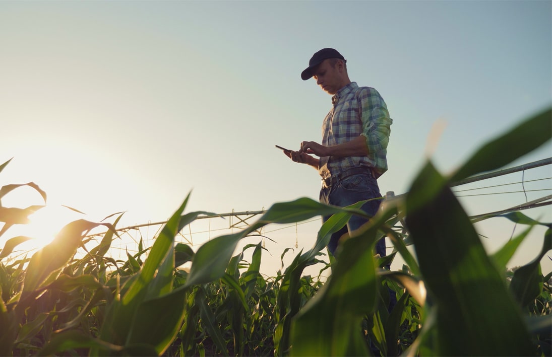 farmer